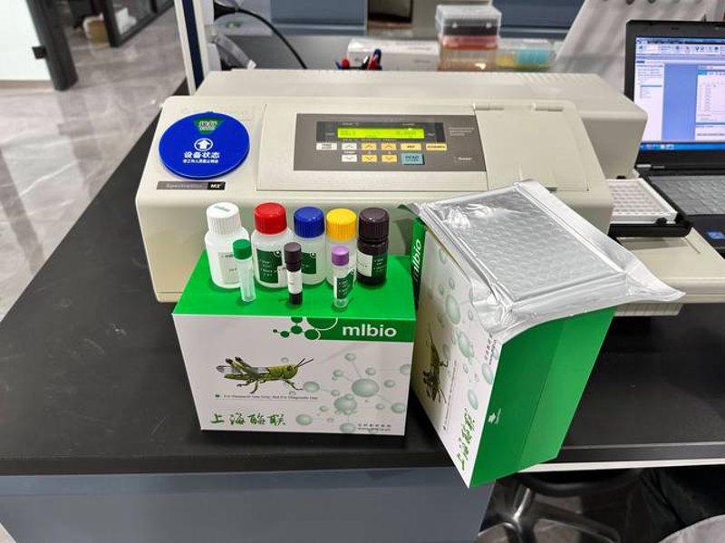 生物科技：守护未来的生命之光